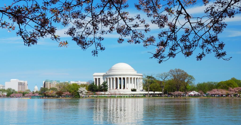 Cherry Blossom season, Washington DC