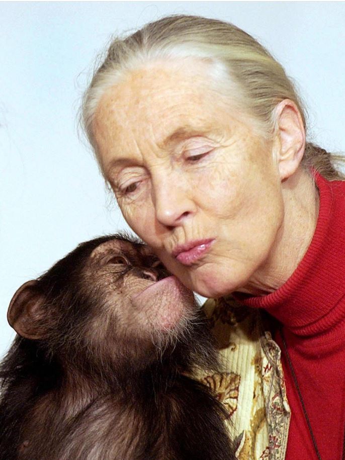 Jane Goodall, Who Studied Chimpanzee Behavior to Teach Us All to Cherish Nature, Dies at 91 Jane Goodall, Who Studied Chimpanzee Behavior to Teach Us All to Cherish Nature, Dies at 91
