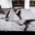 The Story That Won’t Die: ‘Your Friendly Federal Assassin’