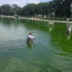 Criminals and Camouflage II: The DC Reflecting Pool Coverup